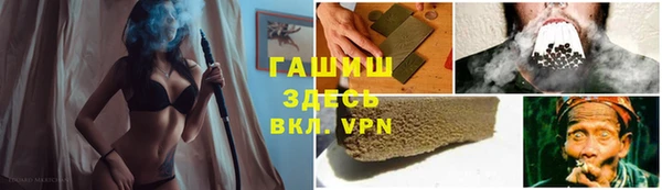 сатива Беломорск