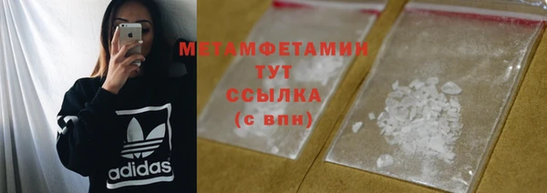 сатива Беломорск