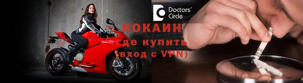 сатива Беломорск