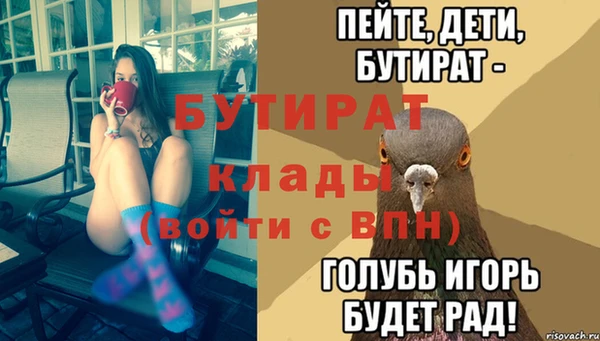 сатива Беломорск