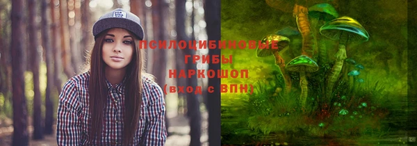 сатива Беломорск