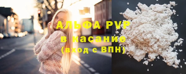 сатива Беломорск