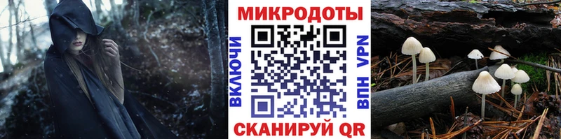 Псилоцибиновые грибы Cubensis  Наро-Фоминск 